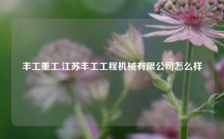 丰工重工,江苏丰工工程机械有限公司怎么样