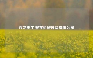 双龙重工,双龙机械设备有限公司