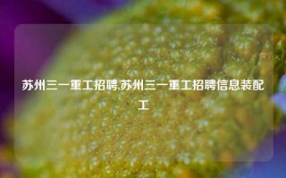 苏州三一重工招聘,苏州三一重工招聘信息装配工