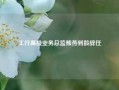 工行高级业务总监熊燕到龄辞任