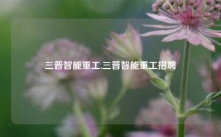 三普智能重工,三普智能重工招聘