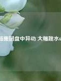 知临集团盘中异动 大幅跳水6.24%