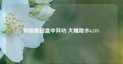 知临集团盘中异动 大幅跳水6.24%