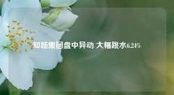 知临集团盘中异动 大幅跳水6.24%