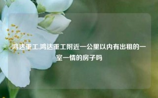 鸿达重工,鸿达重工附近一公里以内有出租的一室一情的房子吗