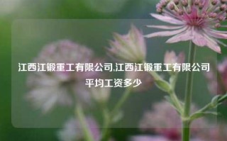 江西江锻重工有限公司,江西江锻重工有限公司平均工资多少