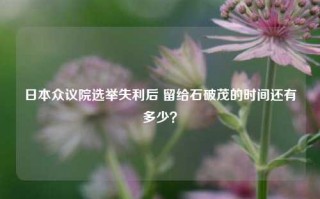 日本众议院选举失利后 留给石破茂的时间还有多少？