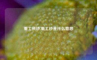 重工拼纱,重工纱是什么意思