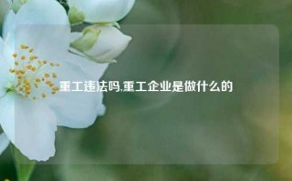 重工违法吗,重工企业是做什么的