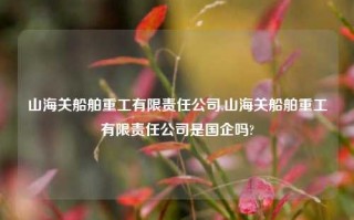 山海关船舶重工有限责任公司,山海关船舶重工有限责任公司是国企吗?