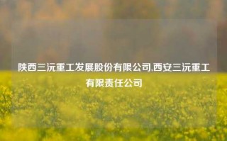 陕西三沅重工发展股份有限公司,西安三沅重工有限责任公司