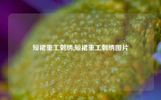 短裙重工刺绣,短裙重工刺绣图片