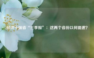 经济十强省“三季报”：这两个省份以何提速？