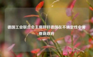 德国工业联合会主席呼吁德国在不确定性中需要新政府