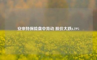 安奈特保险盘中异动 股价大跌6.19%