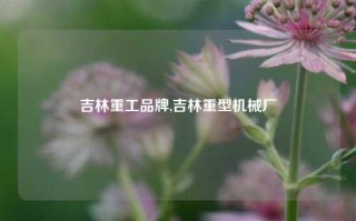 吉林重工品牌,吉林重型机械厂