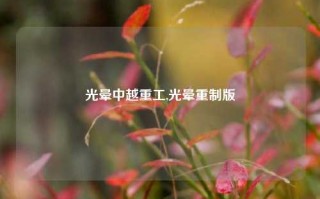 光晕中越重工,光晕重制版