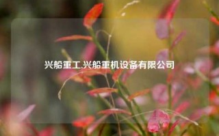 兴船重工,兴船重机设备有限公司