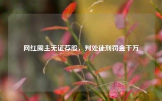 网红圈主无证荐股，判处徒刑罚金千万