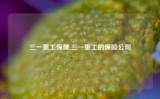 三一重工保理,三一重工的保险公司