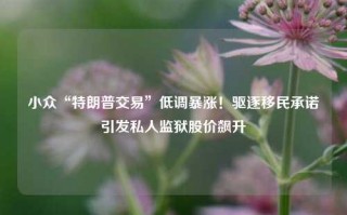 小众“特朗普交易”低调暴涨！驱逐移民承诺引发私人监狱股价飙升