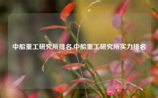 中船重工研究所排名,中船重工研究所实力排名