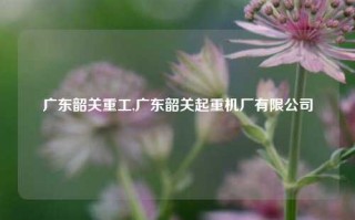 广东韶关重工,广东韶关起重机厂有限公司