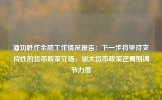 潘功胜作金融工作情况报告：下一步将坚持支持性的货币政策立场，加大货币政策逆周期调节力度