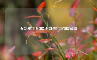 五新重工招聘,五新重工招聘官网