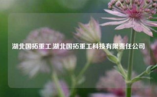 湖北国拓重工,湖北国拓重工科技有限责任公司