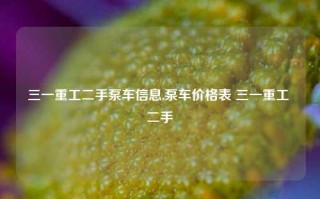 三一重工二手泵车信息,泵车价格表 三一重工 二手