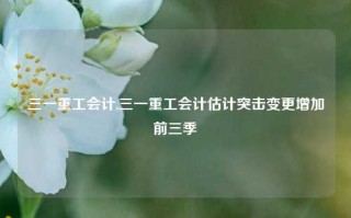 三一重工会计,三一重工会计估计突击变更增加前三季