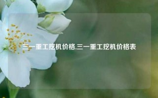 三一重工挖机价格,三一重工挖机价格表