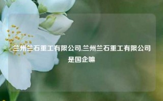 兰州兰石重工有限公司,兰州兰石重工有限公司是国企嘛