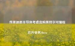 传莱迪思半导体考虑竞购英特尔可编程芯片业务Altera