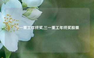 三一重工年终奖,三一重工年终奖股票