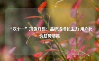 “双十一”现货开售：品牌成增长主力 用户比价趋势明显