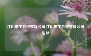 江山重工机械有限公司,江山重工机械有限公司地址