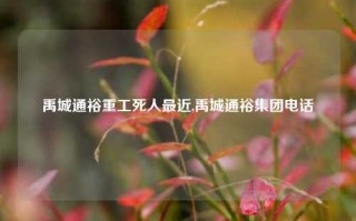 禹城通裕重工死人最近,禹城通裕集团电话