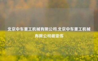 北京中车重工机械有限公司,北京中车重工机械有限公司谢亚伟