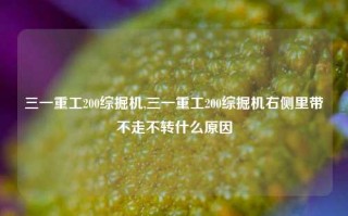 三一重工200综掘机,三一重工200综掘机右侧里带不走不转什么原因