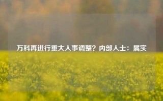 万科再进行重大人事调整？内部人士：属实