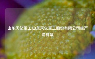 山东天亿重工,山东天亿重工股份有限公司破产清算案