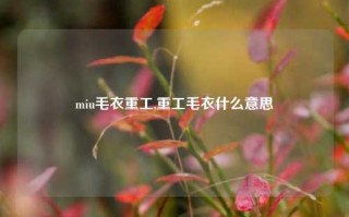 miu毛衣重工,重工毛衣什么意思