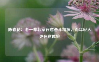 陈春花：老一辈非常在意奋斗精神，而年轻人更在意体验