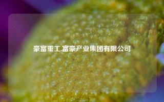 豪富重工,富豪产业集团有限公司