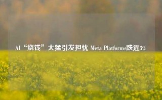 AI“烧钱”太猛引发担忧 Meta Platforms跌近3%