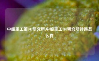 中船重工第707研究所,中船重工707研究所待遇怎么样