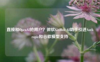 直接和OpenAI抢用户？微软GitHub AI助手引进Anthropic和谷歌模型支持