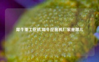 犀牛重工挖机,犀牛挖掘机厂家是哪儿